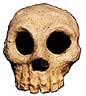 Redware skull