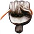 Black power carving