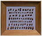 Peach pit carvings collection