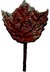 Iron leaf
