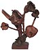 Burl flowers