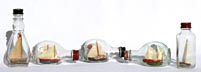 Ship in bottle whimsies