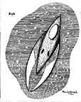 Spaceship Bob
