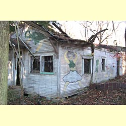 The house