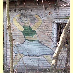 The house