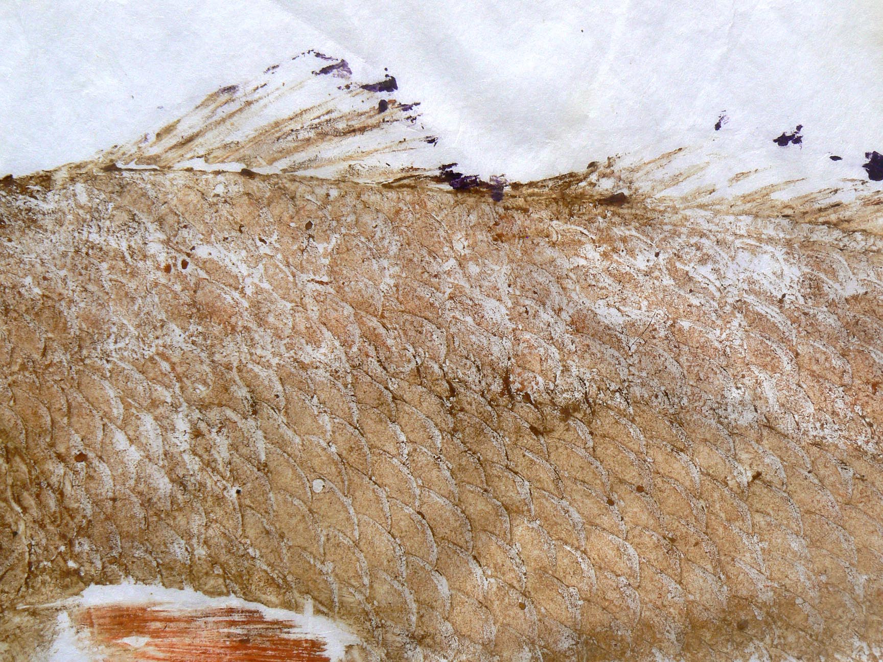Gyotaku fish print