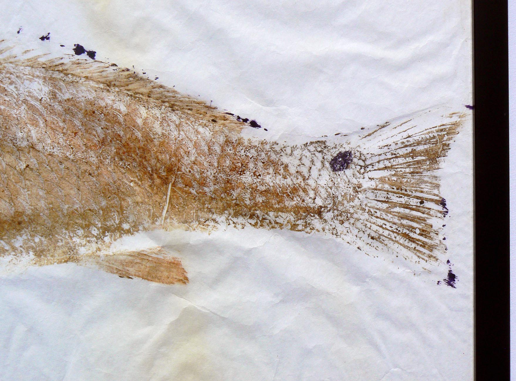 Gyotaku fish print