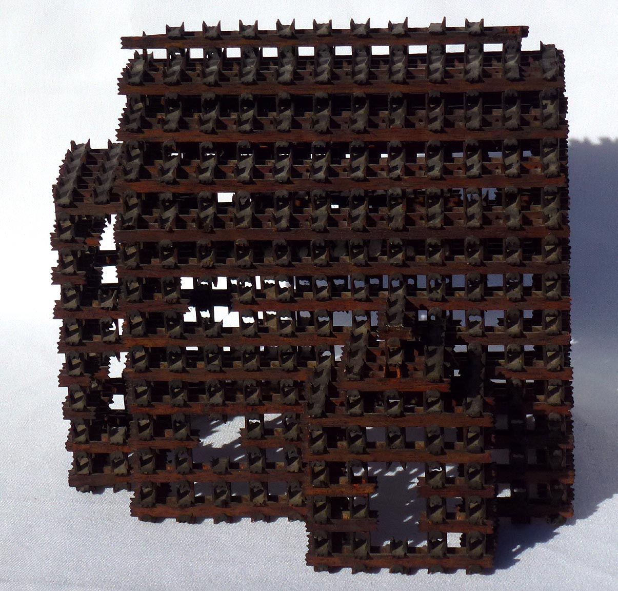 Crown of thorns tramp art house