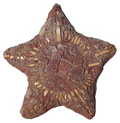Concrete yard art star