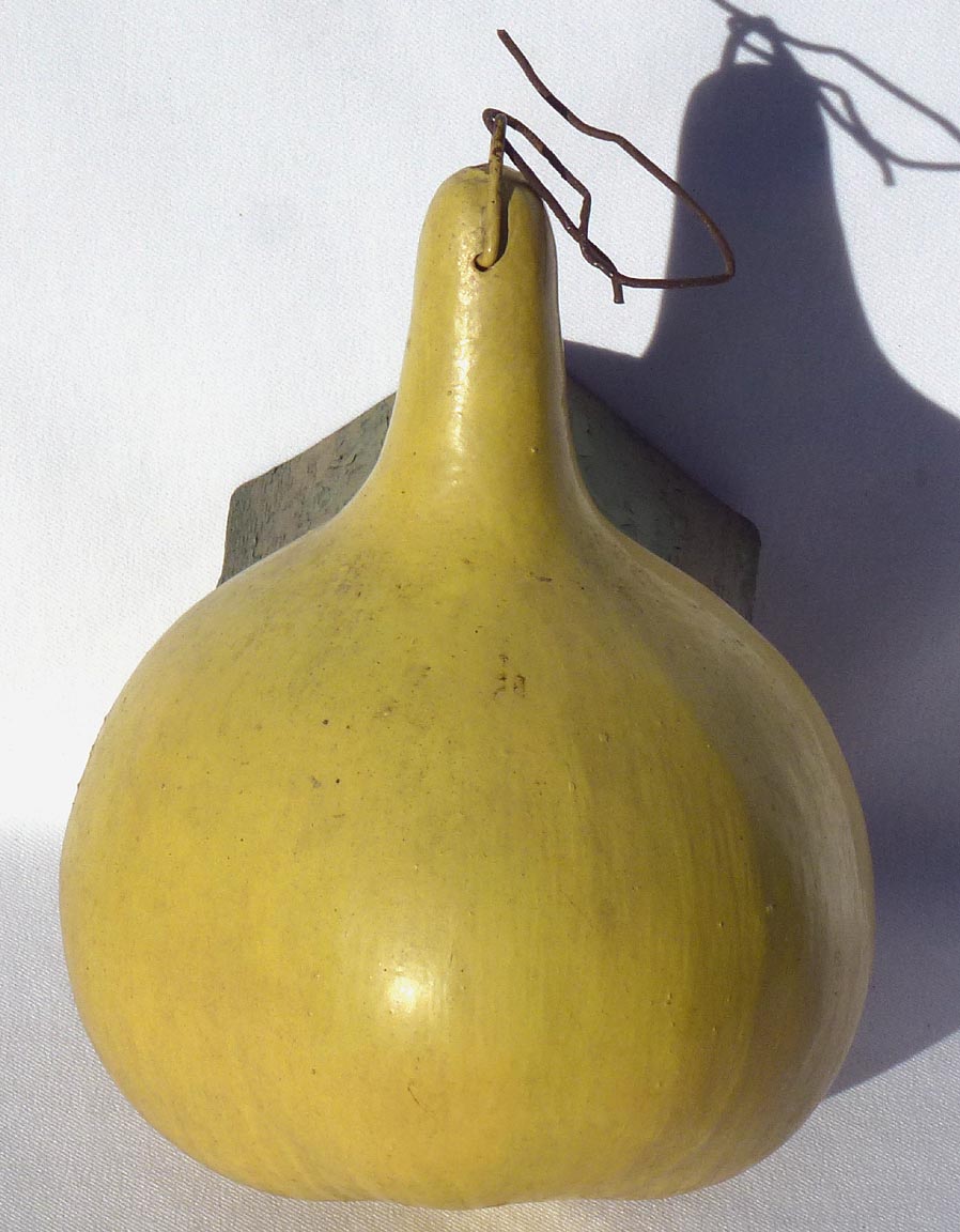 Gourd birdhouse