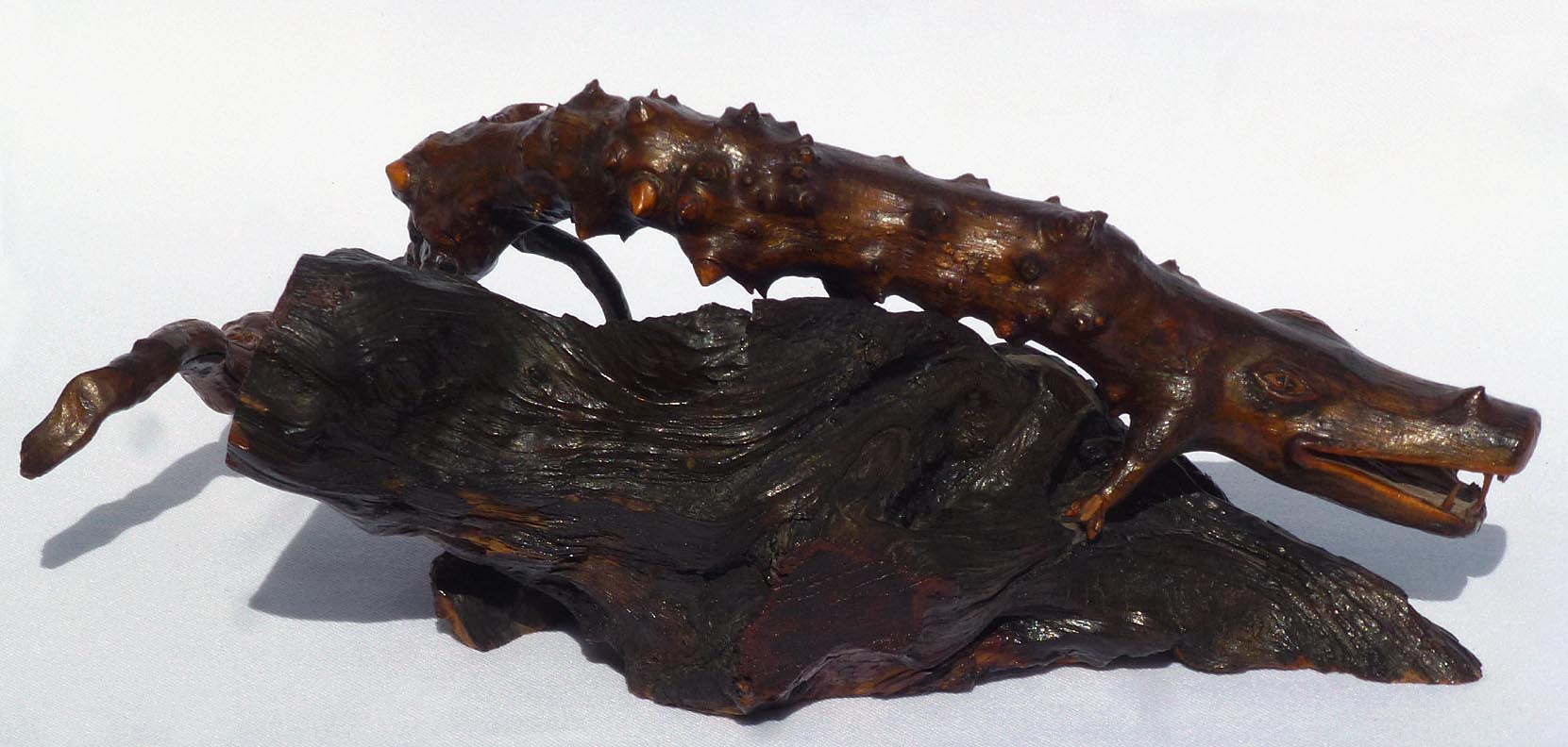 Crocodile root carving