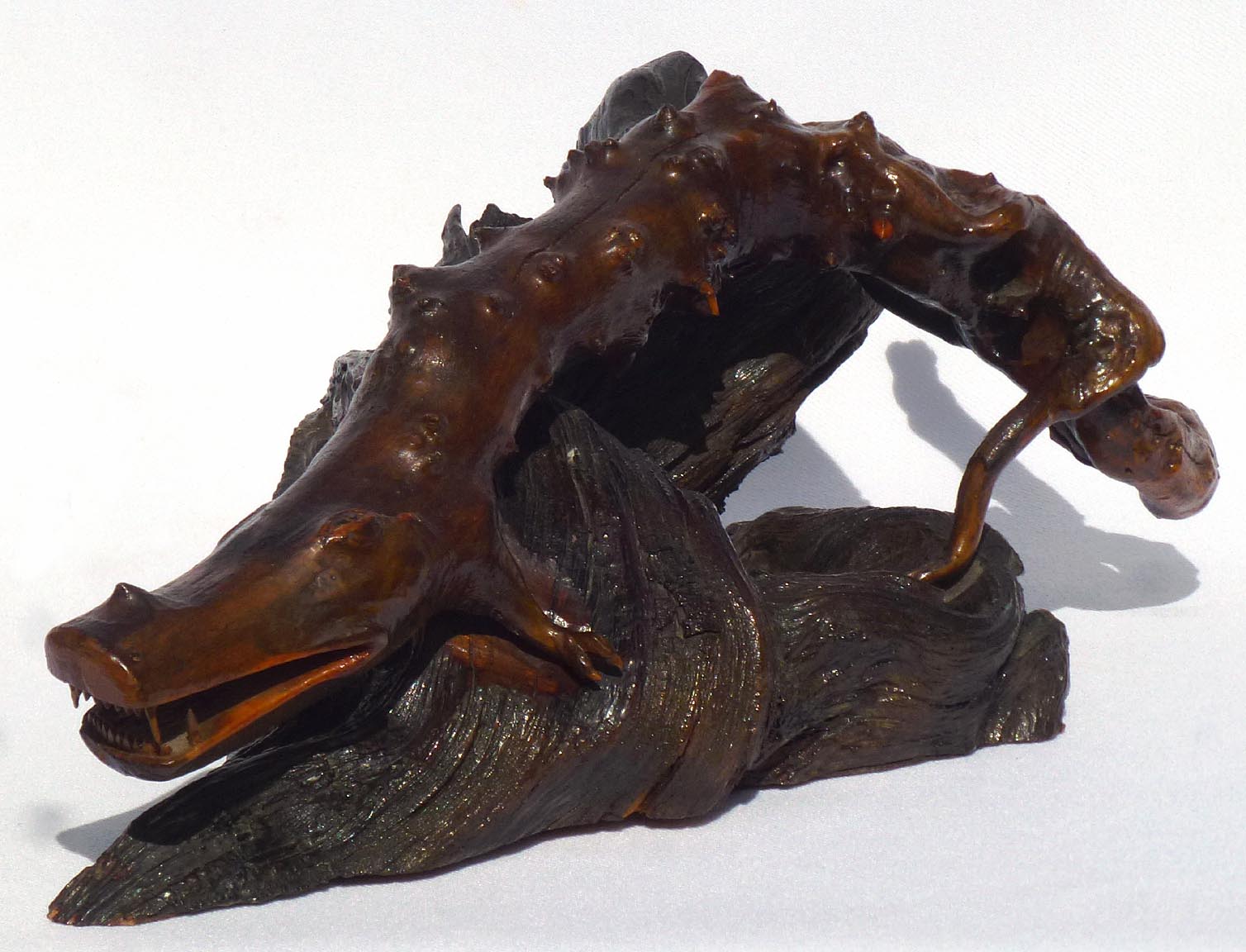Crocodile root carving